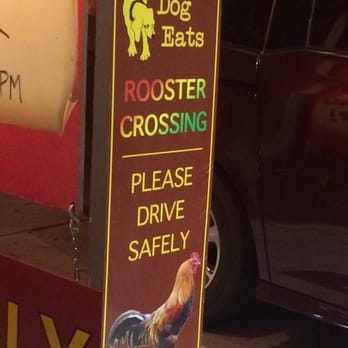 Yellow Dog Eats - Sandwiches Near Me - Windermere, Florida
