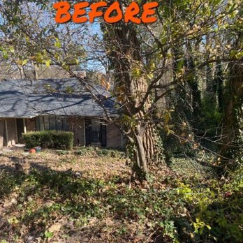 Junk A Way Professionals - Brush clean up before - Junk Removal & Hauling Near Me Junk A Way Professionals - Brush clean up before - Junk Removal & Hauling Near Me