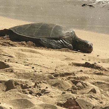 Oahu Nature Tours - Tours Near Me - Honolulu, Hawaii