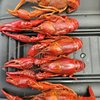 Crazy Cajuns' Boiling Pot gift card