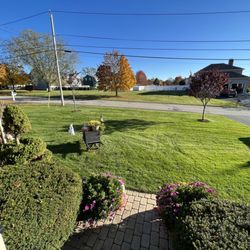 GreenAce Lawn Care - Front lawn
