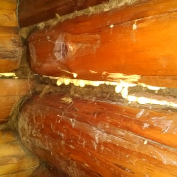 Arrowhead Lodge & Resort - Disgusting mold growing inside lodge room, right next to the bed. - Resorts Near Me - Kabetogama, Minnesota Arrowhead Lodge & Resort - Disgusting mold growing inside lodge room, right next to the bed. - Resorts Near Me - Kabetogama, Minnesota