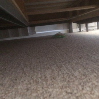 Supreme Clean - Trash under the bed for several cleaning sessions. - Home Cleaning Near Me - San Jose, California Supreme Clean - Trash under the bed for several cleaning sessions. - Home Cleaning Near Me - San Jose, California