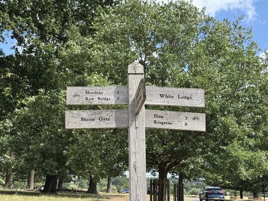 Richmond Park by null