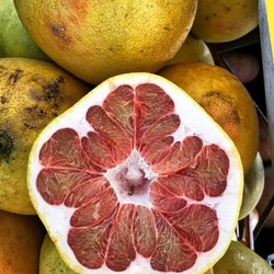 Hilo Farmer's Market