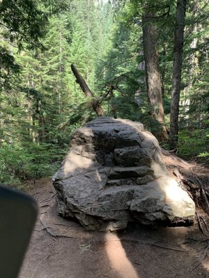Franklin Falls Trailhead by null