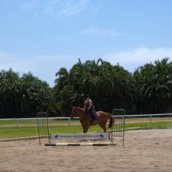Aaa Moore Park Stables
