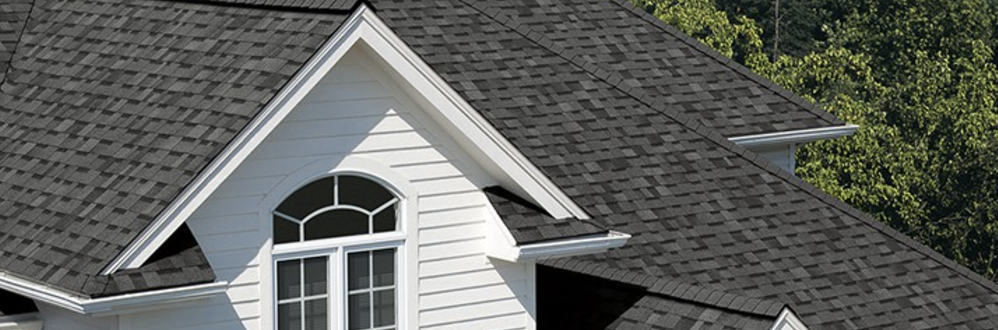 Slide of New Shingles