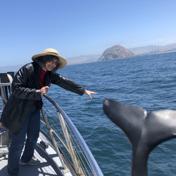 Sub Sea Tours - Rafting/Kayaking Near Me - Morro Bay, California Sub Sea Tours - Rafting/Kayaking Near Me - Morro Bay, California