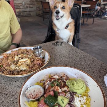 Lazy Dog - New American Near Me - Las Vegas, Nevada Lazy Dog - New American Near Me - Las Vegas, Nevada