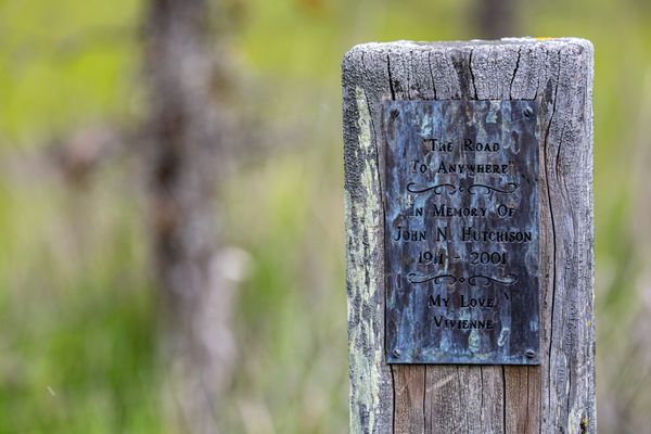 Laguna de Santa Rosa Trail by null