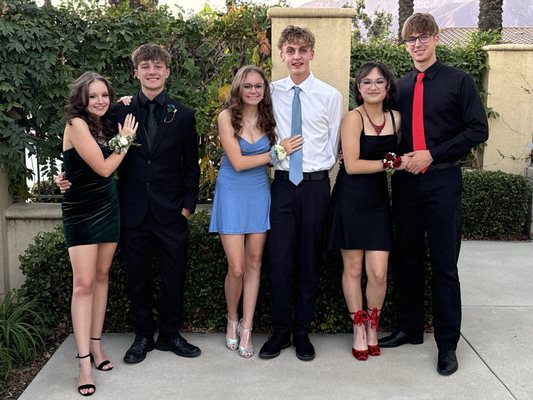 Central Park by null