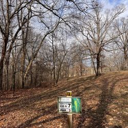 Mahr Park Arboretum - Disc Golf fairway