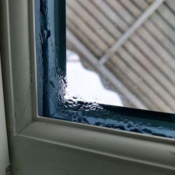 Paramount Builders - a close up of a window - General Contractors Near Me - Virginia Beach, Virginia Paramount Builders - a close up of a window - General Contractors Near Me - Virginia Beach, Virginia