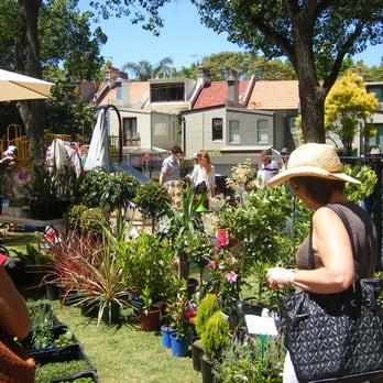 Surry Hills Markets - Shopping Near Me - Sydney, NSW