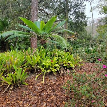 Eureka Springs Park - Morning Hike! - Parks Near Me - Tampa, Florida Eureka Springs Park - Morning Hike! - Parks Near Me - Tampa, Florida