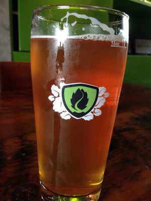 Hop Valley Brewing Company by null