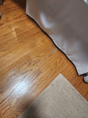 Gold Star Restoration