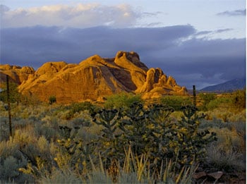 Desert Hills Bed and Breakfast by null