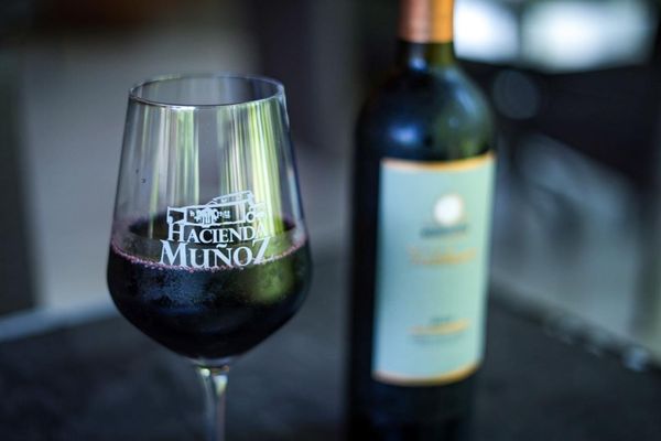 Hacienda Muñoz by null