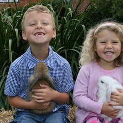 Longdown Activity Farm