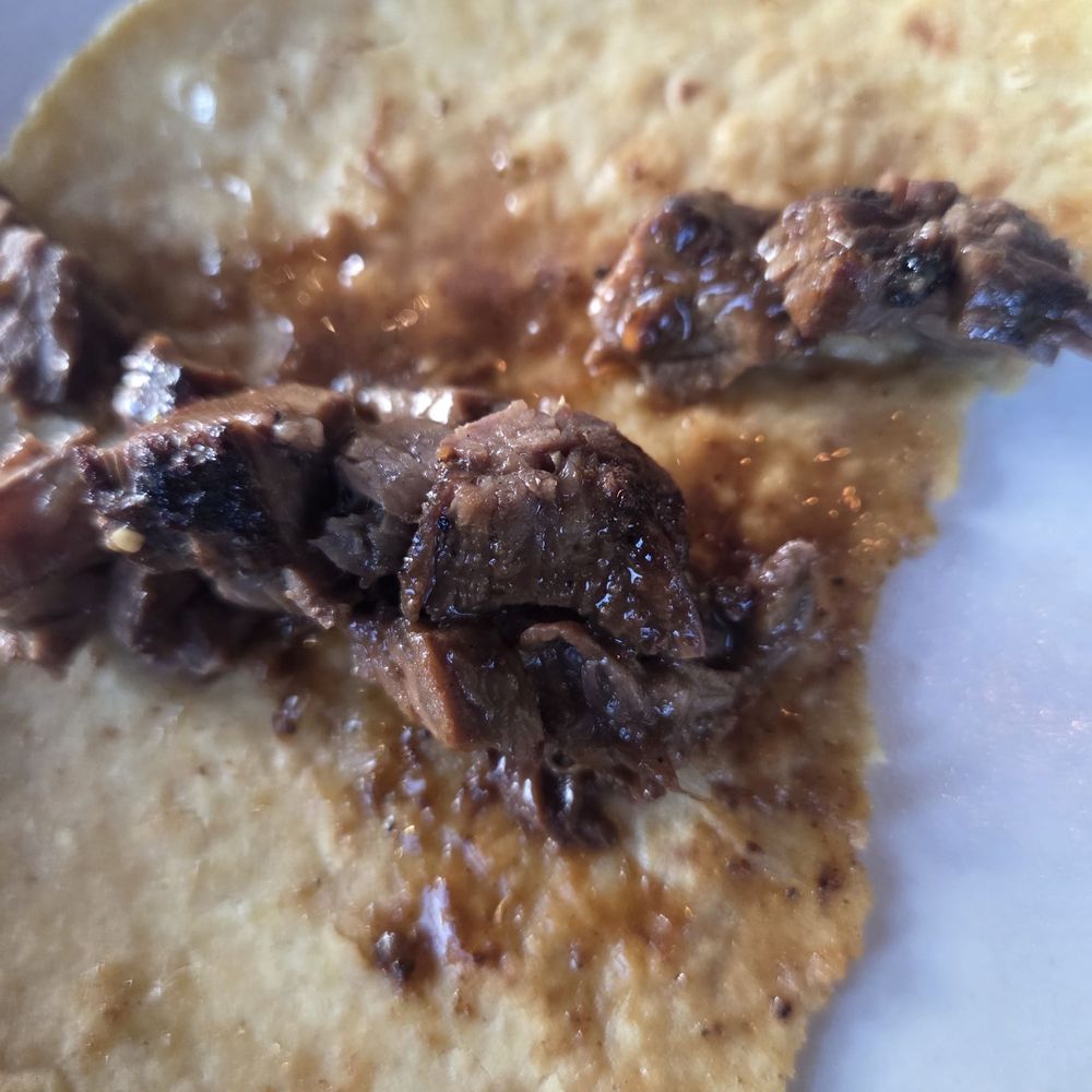 Blanco Cocina + Cantina - Tacos Near Me - San Diego, California