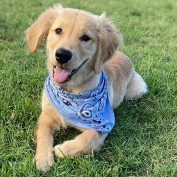 baby boone