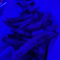 KahunaOS Bar & Grill - Fries under blue light