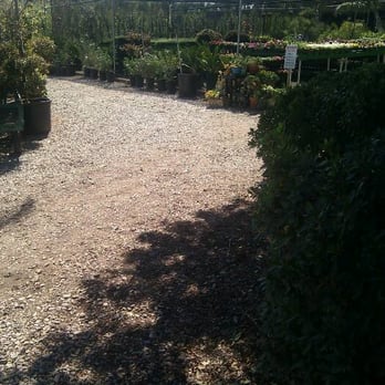 Moon Valley Nurseries - Nurseries & Gardening Near Me - Malibu, California