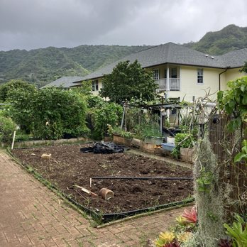Manoa Community Garden - Manoa community garden - Community Gardens Near Me - Honolulu, Hawaii Manoa Community Garden - Manoa community garden - Community Gardens Near Me - Honolulu, Hawaii