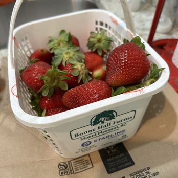 Boone Hall Plantation - Strawberries - Venues & Event Spaces Near Me - Mount Pleasant, South Carolina Boone Hall Plantation - Strawberries - Venues & Event Spaces Near Me - Mount Pleasant, South Carolina
