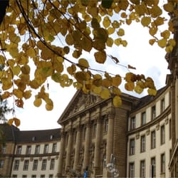 Oberlandesgericht Köln
