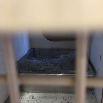 Petco - More filthy overfilled kitty litter boxes - Pet Stores Near Me - Los Angeles, California Petco - More filthy overfilled kitty litter boxes - Pet Stores Near Me - Los Angeles, California