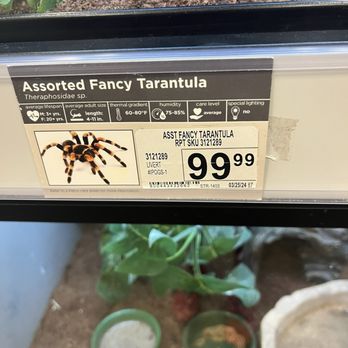 Petco - How much it cost - Pet Training Near Me - Waco, Texas Petco - How much it cost - Pet Training Near Me - Waco, Texas