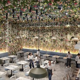 TIMBR - Updated April 2025 - 162 Photos & 64 Reviews - 15 W Las Olas