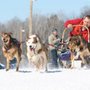 Photo of Heywood Kennels Sled Dog Adventures
