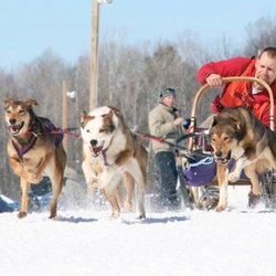 Heywood Kennels Sled Dog Adventures