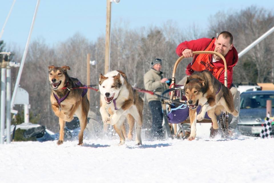 Heywood Kennels Sled Dog Adventures Logo