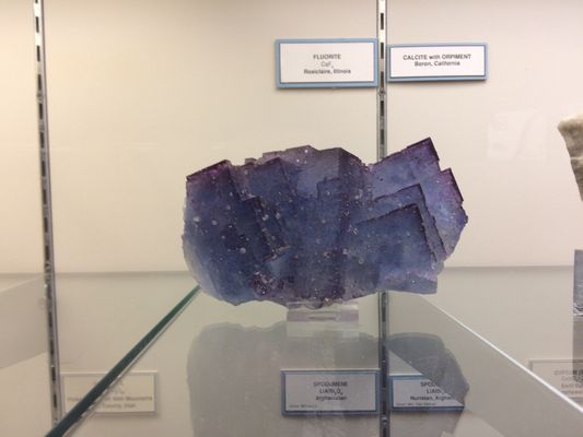 World Museum of Natural History by null