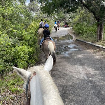Three Oaks Farm - Horseback Riding Near Me - Jekyll Island, Georgia Three Oaks Farm - Horseback Riding Near Me - Jekyll Island, Georgia