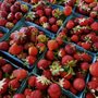 Photo of West Orchards 