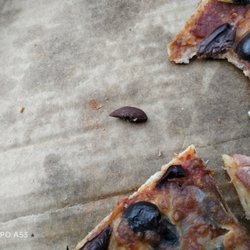 Mainstreet Pizza & Pasta - Olive pip blamed on supplier