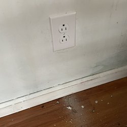 Dr P House Physician