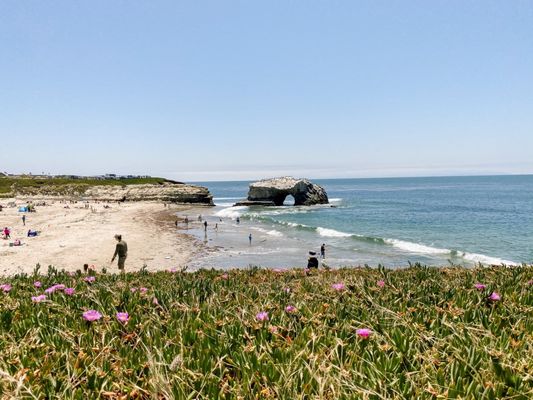 Natural Bridges State Beach by null