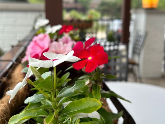 Parkers' Restaurant & Bar by null