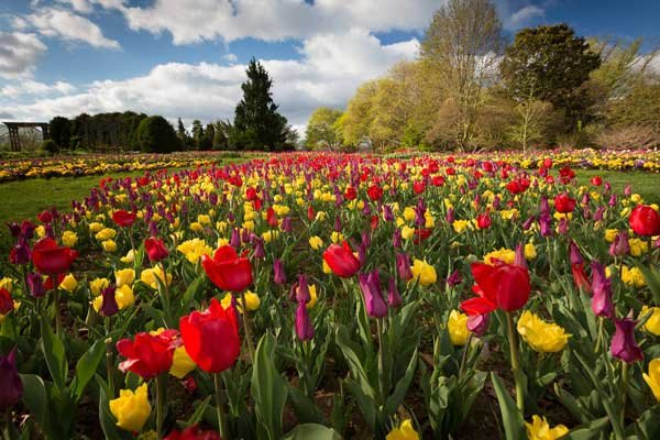 Hahn Horticulture Garden by null