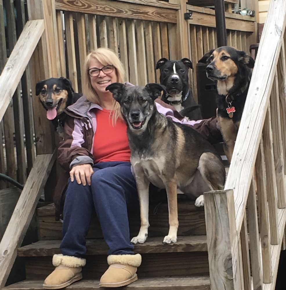 TOP DOG PET CARE 13 Photos Jersey City, NJ Yelp