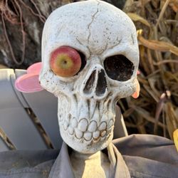 Hale's Apple Farm