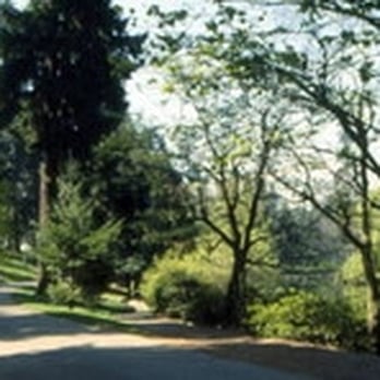 Laurelhurst Park - Parks Near Me - Portland, Oregon Laurelhurst Park - Parks Near Me - Portland, Oregon