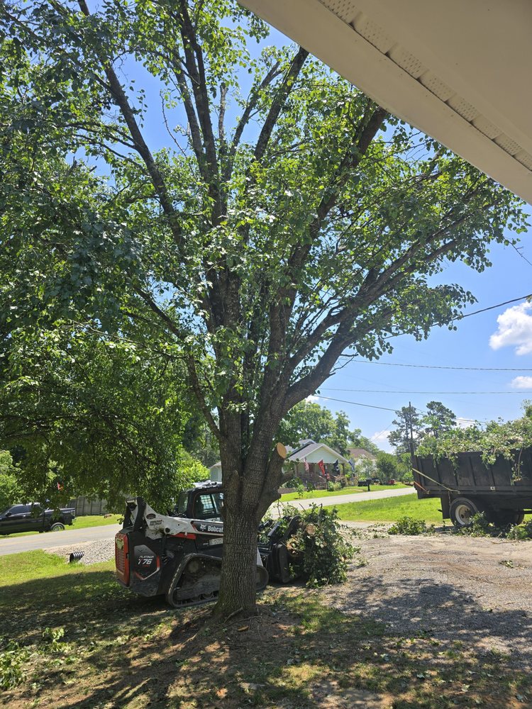 Mel’s Tree Service - tree service in Greensboro, NC